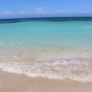 Meet your Posher, Evelyn